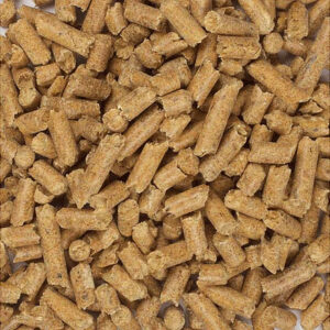 buy hay pellets online